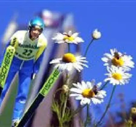 Haus Merian 3 * ווינטרברג